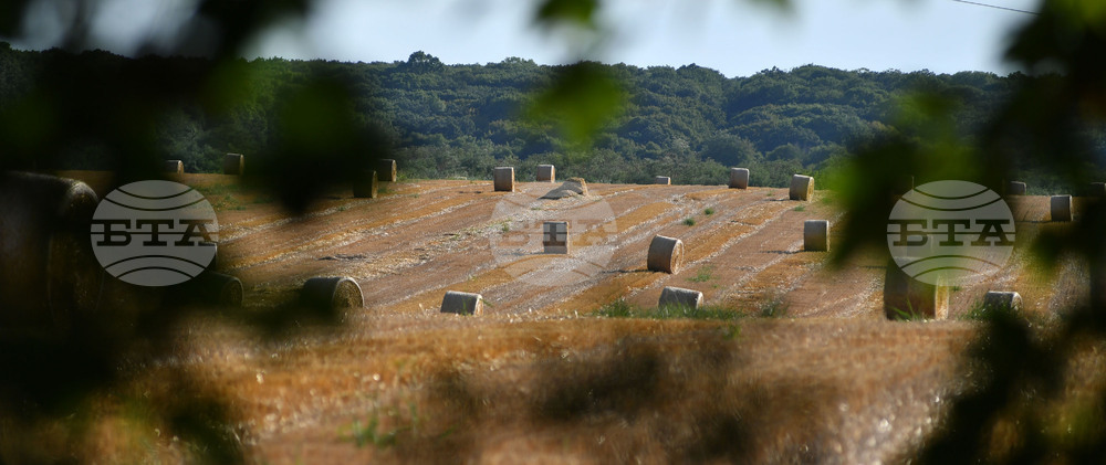 Село Малък Поровец - слама - бали