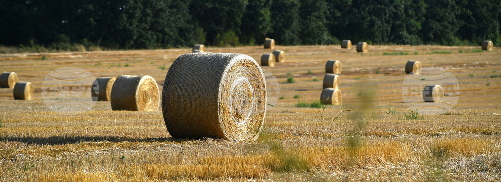 Село Малък Поровец - слама - бали