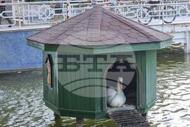 Турция - град Коня