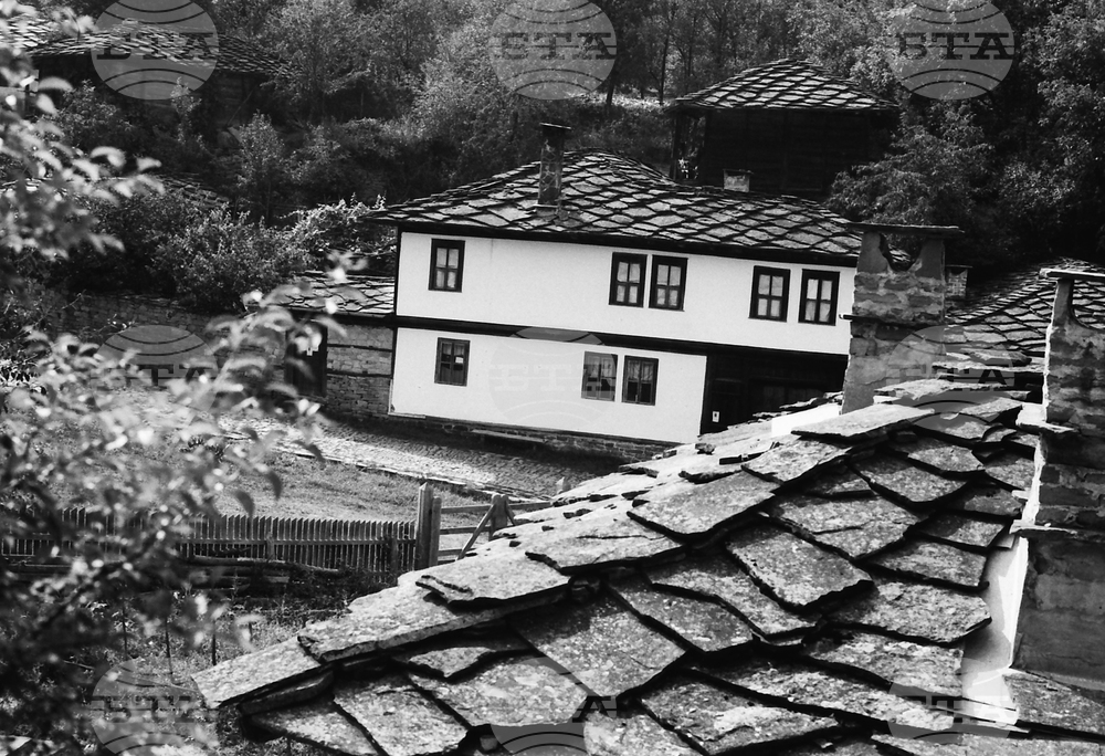Архитектурно-исторически резерват „Боженци“
