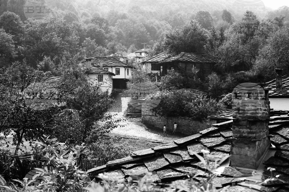 Архитектурно-исторически резерват „Боженци“