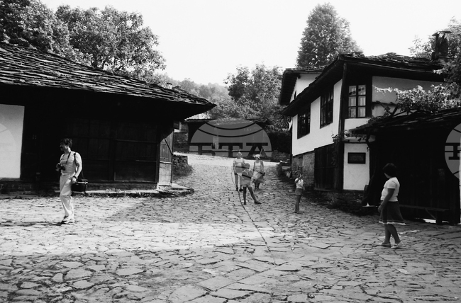 Архитектурно-исторически резерват „Боженци“