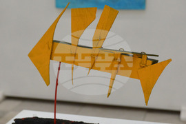 Русе - Мартин Петров - изложба