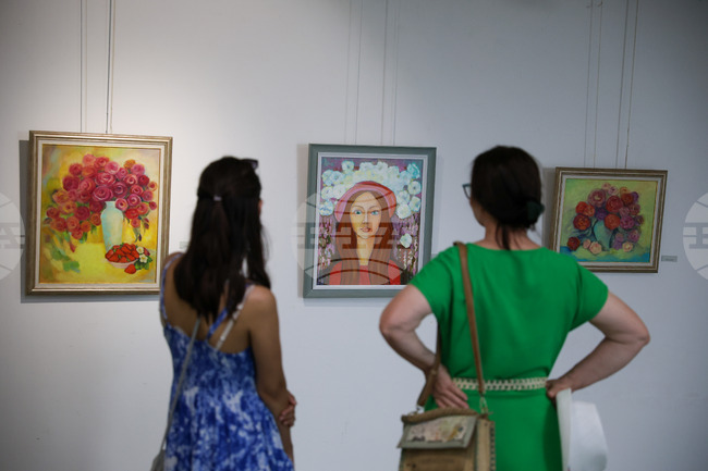 Благоевград - Веселина Анастасова - изложба