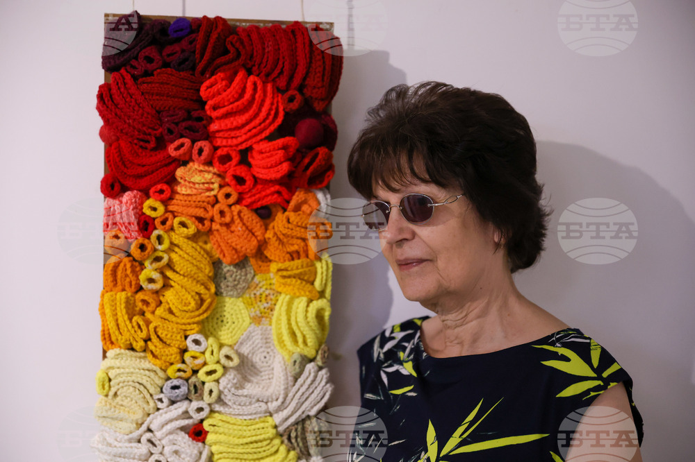 Благоевград - Веселина Анастасова - изложба