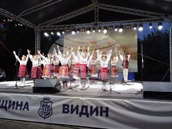 Снимка: Община Видин