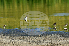 Село Божурово - блатни птици