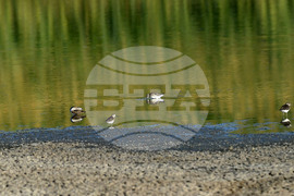 Село Божурово - блатни птици