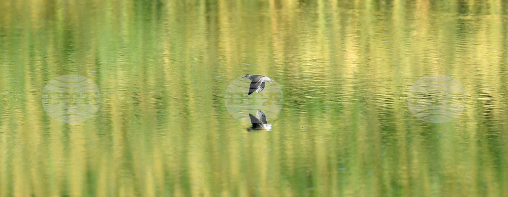 Село Божурово - блатни птици