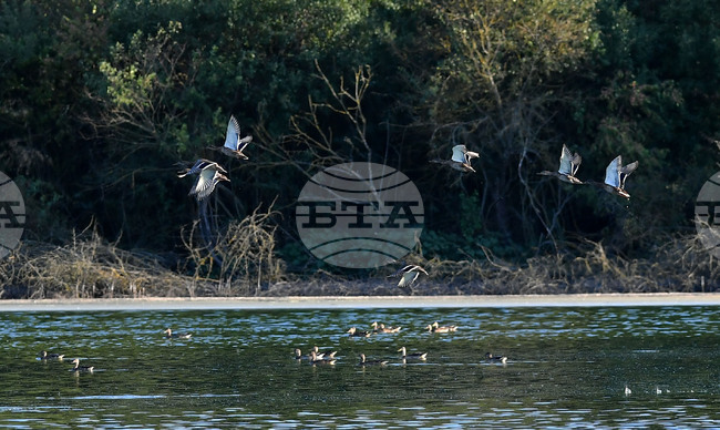 Село Божурово - блатни птици