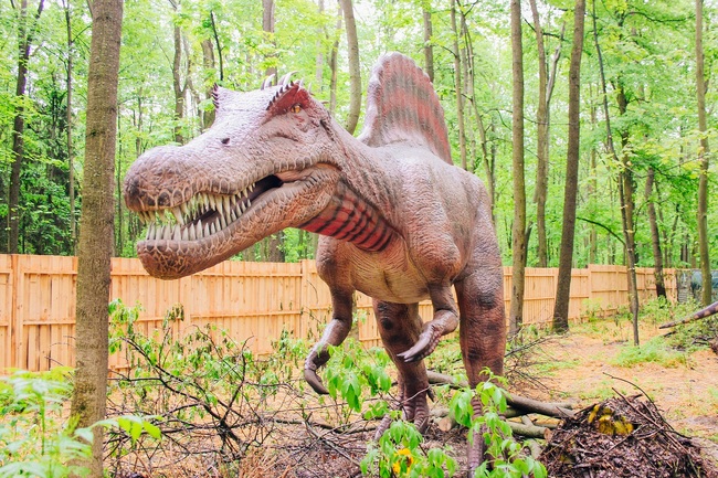 Община Благоевград: Парк “Бачиново” се пренася в праисторическата ера с динозаври в реални размери