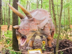 Снимка: Община Благоевград