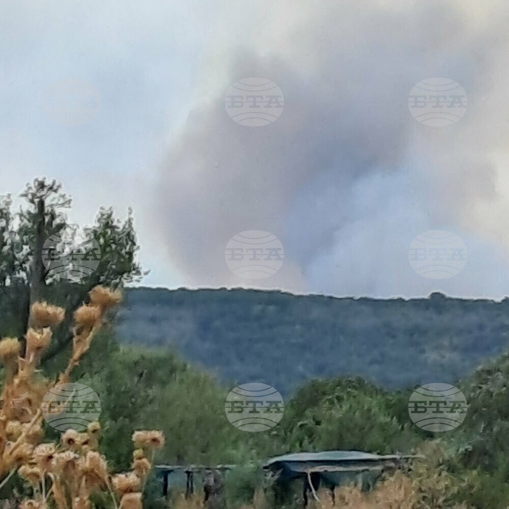 Fire in Sakar Mountain Contained, Spreads to 1,500 Ha