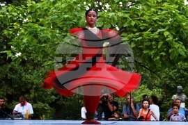 Дни на индийската култура