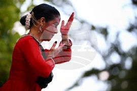 Дни на индийската култура