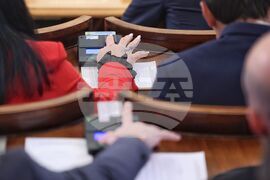 Парламент - заседание
