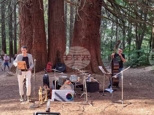 Село Богослов - концерт