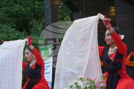 Дни на индийската култура