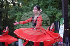 Дни на индийската култура