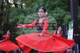 Дни на индийската култура