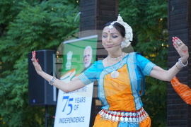 Дни на индийската култура