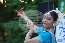 Дни на индийската култура