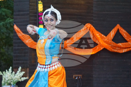 Дни на индийската култура