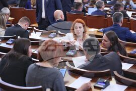 Парламент - заседание