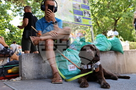 Асеновград - ултрамаратон „Персенк Ултра“