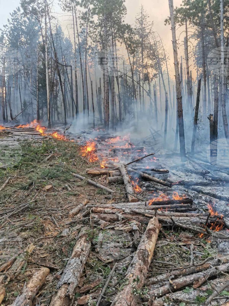 Овладян е пожарът край село Голямо Буково, Област Бургас