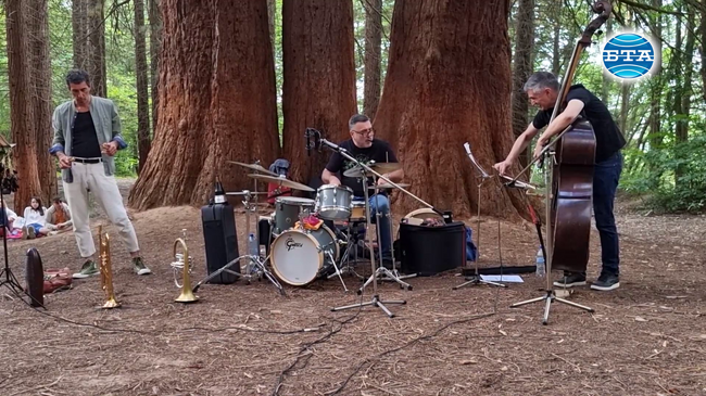 Концептуална музика звуча край вековните секвои над Кюстендил