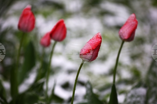 Прогноза за времето 