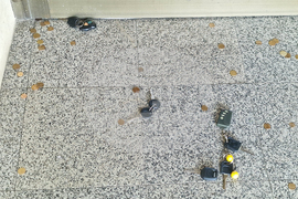 Синдикат “Защита” - протест