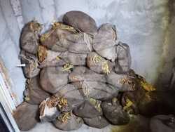 Снимка: МВР