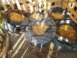 Снимка: МВР