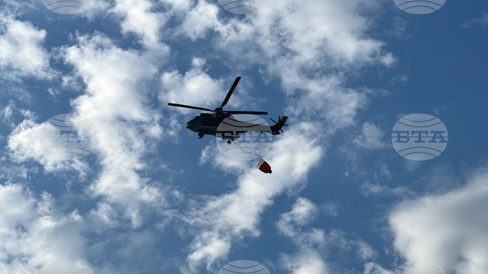 Горски пожар предизвика евакуация на няколко населени места на полуостров Пелопонес в Южна Гърция