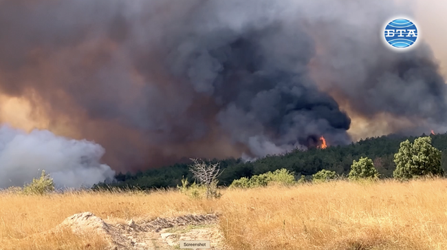  Пожарът край Казанлък достигна терен на метри от общинската претоварна станция