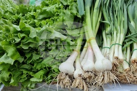 Благоевград - пазар - цени - зеленчуци - козунаци