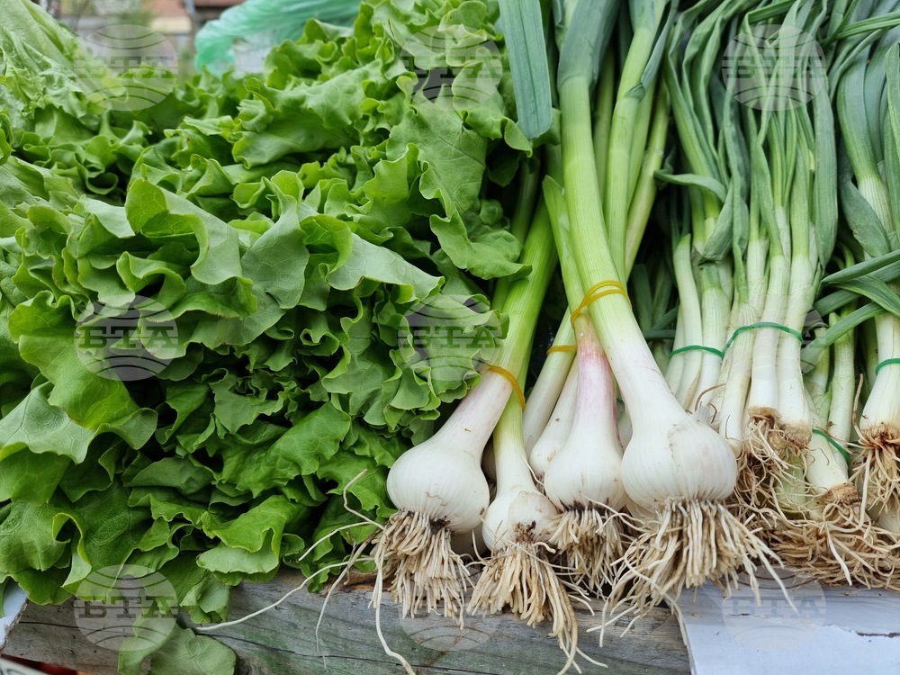 Благоевград - пазар - цени - зеленчуци - козунаци