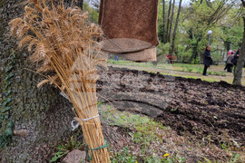 Село Симеоново - празник - За хляба наш