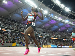 Hungary Athletics Worlds