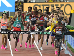 Hungary Athletics Worlds