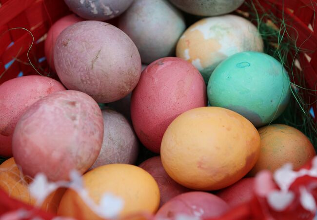 Българското посолство в Мексико и училище „Родна реч“ отправиха покана за боядисване на великденски яйца на 12 април