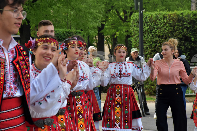 Видин - празник