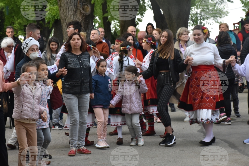 Видин - празник