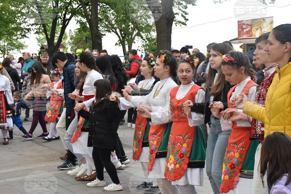 Видин - празник