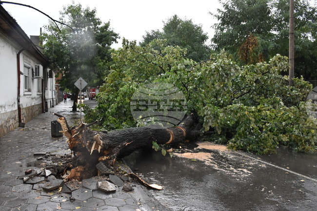 Буря причини щети на гръцкия полуостров Пелопонес, има съобщения и за смерч