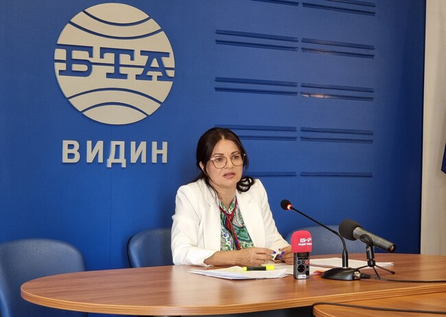 Пресконференция на заместник-председателят на НС и народен представител от Видин Росица Кирова относно случая с рушащата се стена на крепостта Баба Вида