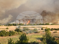 Снимка: Община Ловеч