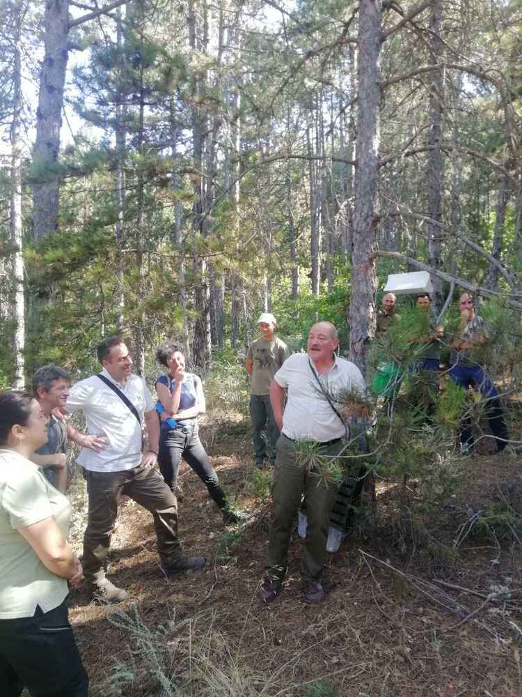 ИАГ: ЛЗС София проведе годишен инструктаж по лесозащита със стопани на гори